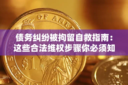 北京债务纠纷被拘留自救指南：这些合法维权步骤你必须知道！