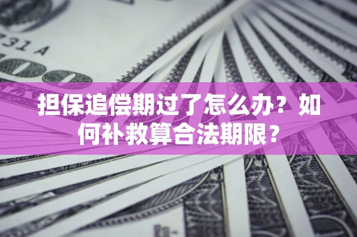 北京担保追偿期过了怎么办？如何补救算合法期限？