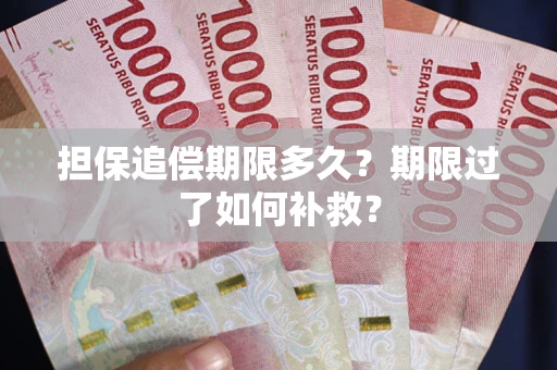 北京担保追偿期限多久？期限过了如何补救？